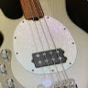 Meet your Posher, Timothy